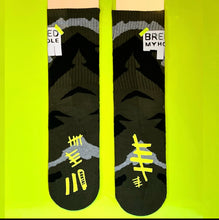 Load image into Gallery viewer, Advert Socks LTD ED