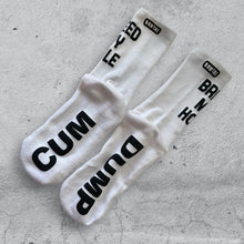 Load image into Gallery viewer, BREED MY HOLE SOCKS